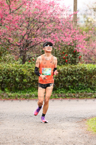 2026左岸竹東櫻花馬拉松Zhudong Sakura Marathon