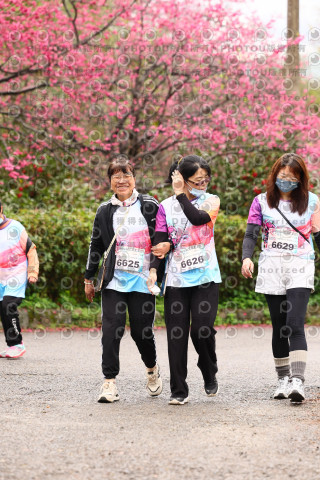2026左岸竹東櫻花馬拉松Zhudong Sakura Marathon