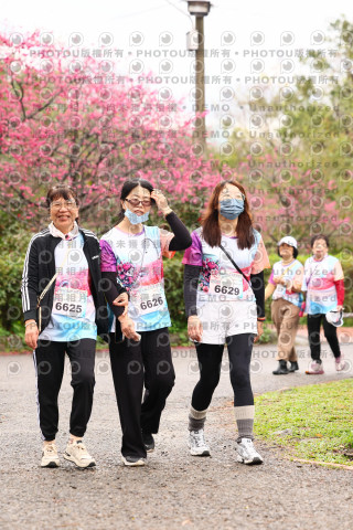 2026左岸竹東櫻花馬拉松Zhudong Sakura Marathon