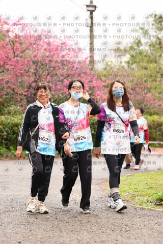 2026左岸竹東櫻花馬拉松Zhudong Sakura Marathon