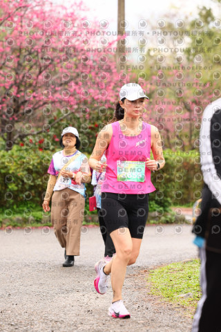 2026左岸竹東櫻花馬拉松Zhudong Sakura Marathon