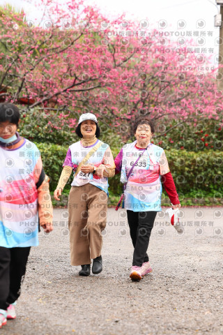 2026左岸竹東櫻花馬拉松Zhudong Sakura Marathon