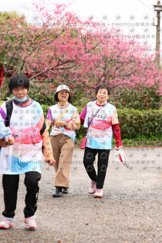 2026左岸竹東櫻花馬拉松Zhudong Sakura Marathon