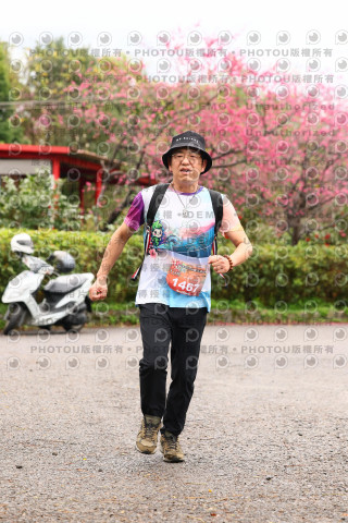 2026左岸竹東櫻花馬拉松Zhudong Sakura Marathon