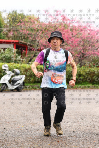 2026左岸竹東櫻花馬拉松Zhudong Sakura Marathon