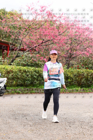 2026左岸竹東櫻花馬拉松Zhudong Sakura Marathon