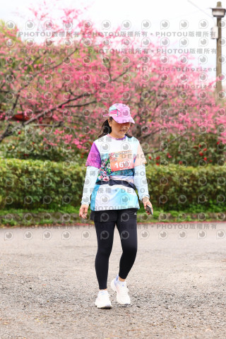 2026左岸竹東櫻花馬拉松Zhudong Sakura Marathon