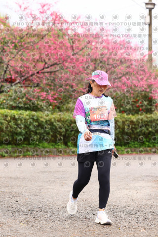 2026左岸竹東櫻花馬拉松Zhudong Sakura Marathon