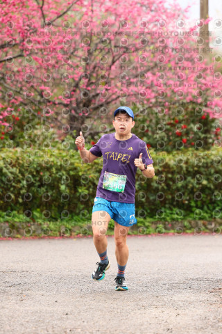 2026左岸竹東櫻花馬拉松Zhudong Sakura Marathon
