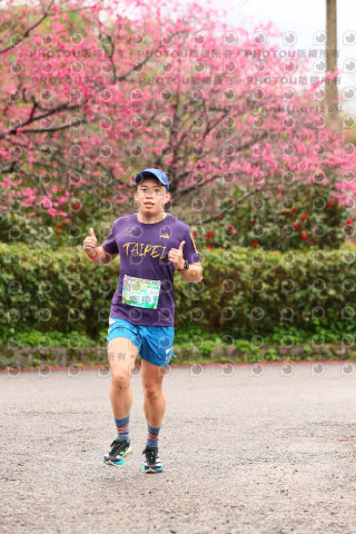 2026左岸竹東櫻花馬拉松Zhudong Sakura Marathon