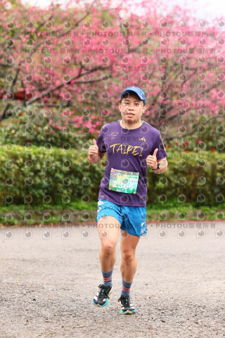 2026左岸竹東櫻花馬拉松Zhudong Sakura Marathon