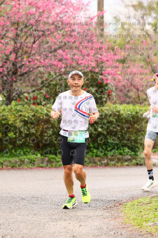 2026左岸竹東櫻花馬拉松Zhudong Sakura Marathon