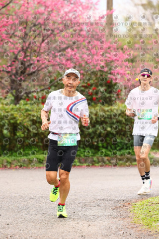 2026左岸竹東櫻花馬拉松Zhudong Sakura Marathon