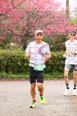 2026左岸竹東櫻花馬拉松Zhudong Sakura Marathon
