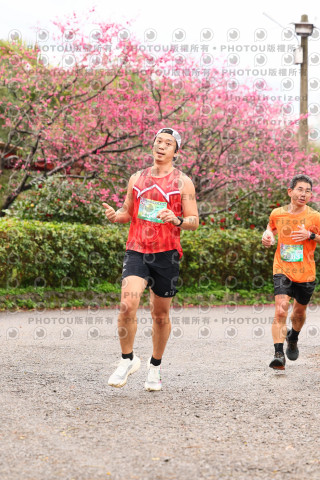 2026左岸竹東櫻花馬拉松Zhudong Sakura Marathon