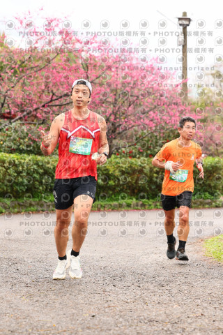 2026左岸竹東櫻花馬拉松Zhudong Sakura Marathon