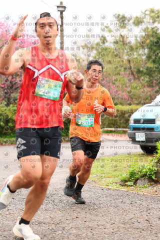 2026左岸竹東櫻花馬拉松Zhudong Sakura Marathon