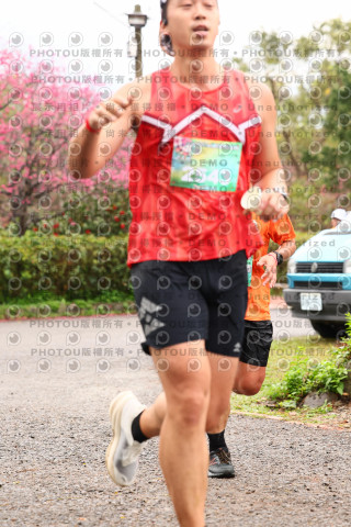 2026左岸竹東櫻花馬拉松Zhudong Sakura Marathon