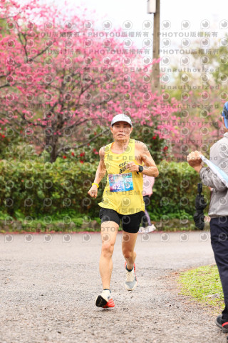 2026左岸竹東櫻花馬拉松Zhudong Sakura Marathon