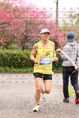 2026左岸竹東櫻花馬拉松Zhudong Sakura Marathon