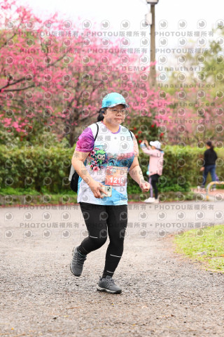 2026左岸竹東櫻花馬拉松Zhudong Sakura Marathon