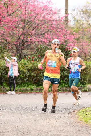 2026左岸竹東櫻花馬拉松Zhudong Sakura Marathon