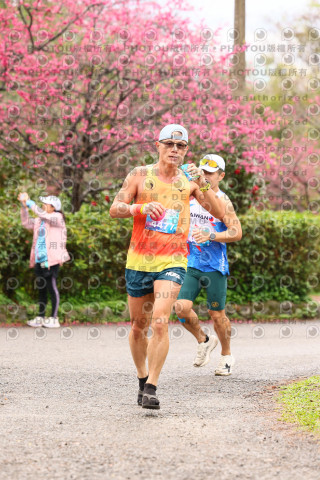 2026左岸竹東櫻花馬拉松Zhudong Sakura Marathon