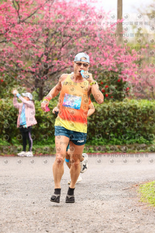 2026左岸竹東櫻花馬拉松Zhudong Sakura Marathon