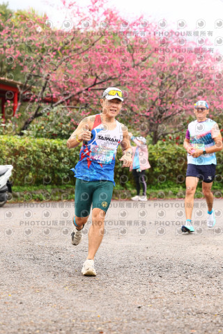 2026左岸竹東櫻花馬拉松Zhudong Sakura Marathon