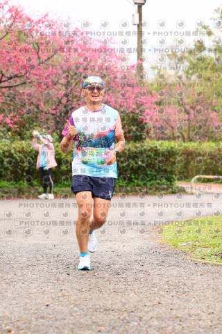 2026左岸竹東櫻花馬拉松Zhudong Sakura Marathon