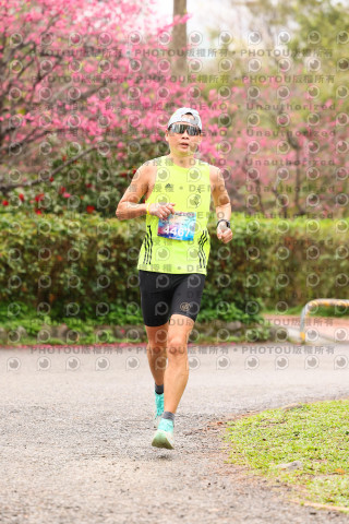 2026左岸竹東櫻花馬拉松Zhudong Sakura Marathon