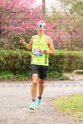 2026左岸竹東櫻花馬拉松Zhudong Sakura Marathon