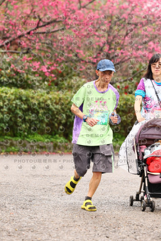 2026左岸竹東櫻花馬拉松Zhudong Sakura Marathon