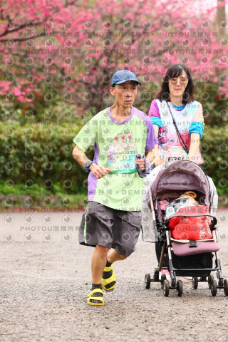 2026左岸竹東櫻花馬拉松Zhudong Sakura Marathon