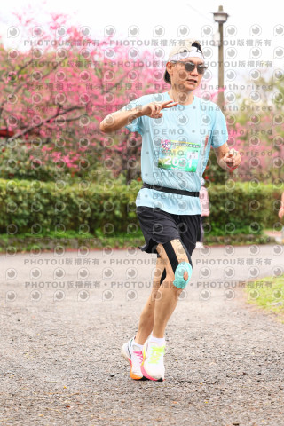 2026左岸竹東櫻花馬拉松Zhudong Sakura Marathon