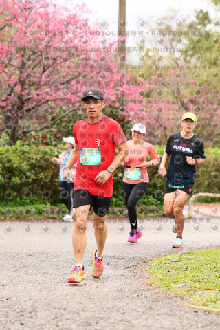 2026左岸竹東櫻花馬拉松Zhudong Sakura Marathon
