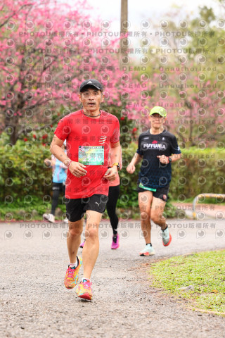 2026左岸竹東櫻花馬拉松Zhudong Sakura Marathon
