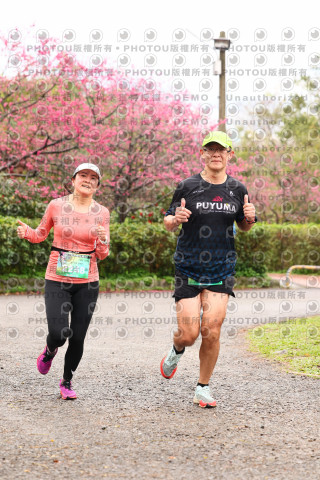 2026左岸竹東櫻花馬拉松Zhudong Sakura Marathon