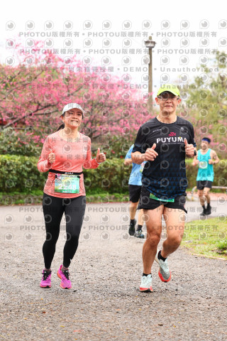 2026左岸竹東櫻花馬拉松Zhudong Sakura Marathon