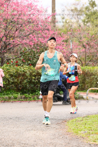 2026左岸竹東櫻花馬拉松Zhudong Sakura Marathon