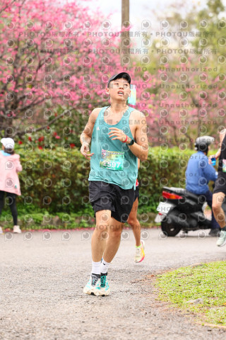 2026左岸竹東櫻花馬拉松Zhudong Sakura Marathon