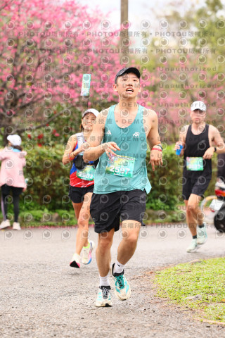 2026左岸竹東櫻花馬拉松Zhudong Sakura Marathon