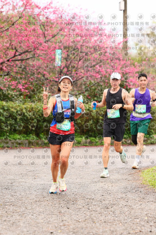 2026左岸竹東櫻花馬拉松Zhudong Sakura Marathon