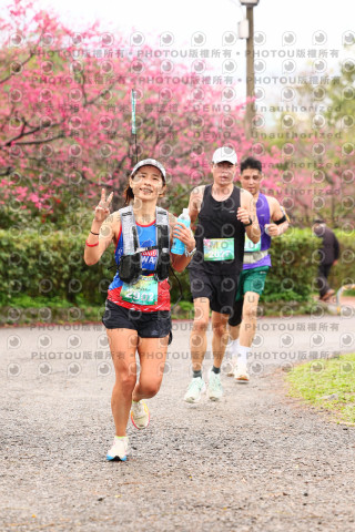 2026左岸竹東櫻花馬拉松Zhudong Sakura Marathon