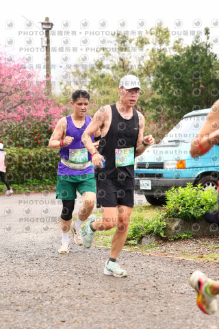 2026左岸竹東櫻花馬拉松Zhudong Sakura Marathon