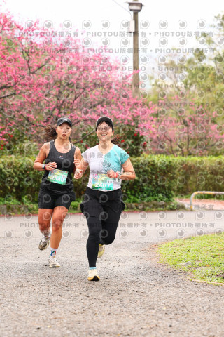 2026左岸竹東櫻花馬拉松Zhudong Sakura Marathon