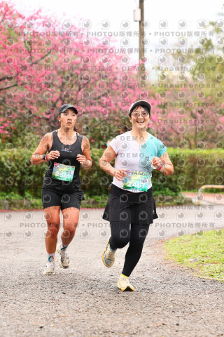 2026左岸竹東櫻花馬拉松Zhudong Sakura Marathon