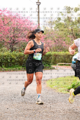 2026左岸竹東櫻花馬拉松Zhudong Sakura Marathon