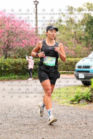 2026左岸竹東櫻花馬拉松Zhudong Sakura Marathon