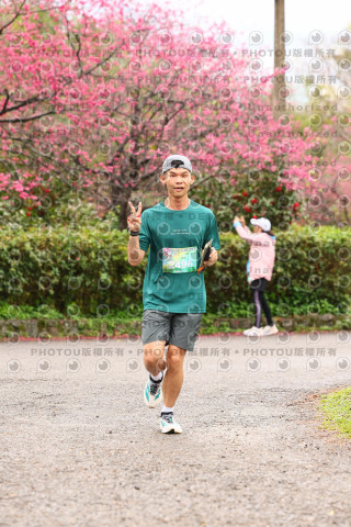 2026左岸竹東櫻花馬拉松Zhudong Sakura Marathon